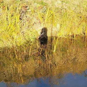 Meet your Posher, Tia